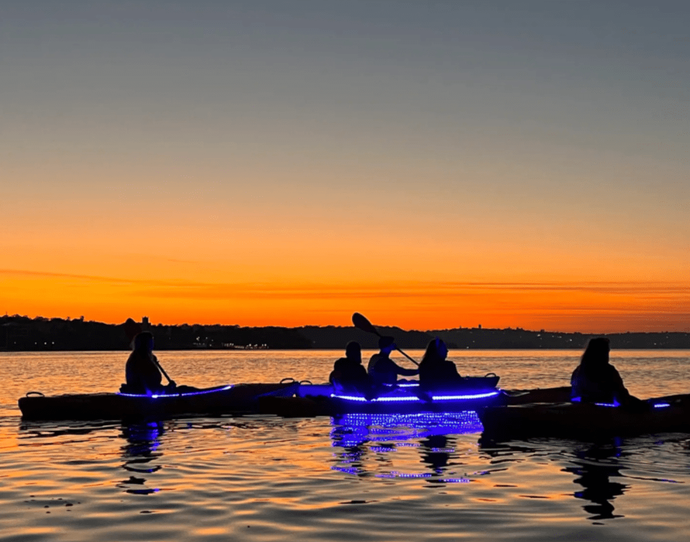 Sydney Kayak Experience