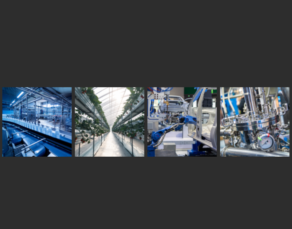 Manufacturing Catalyst sectors